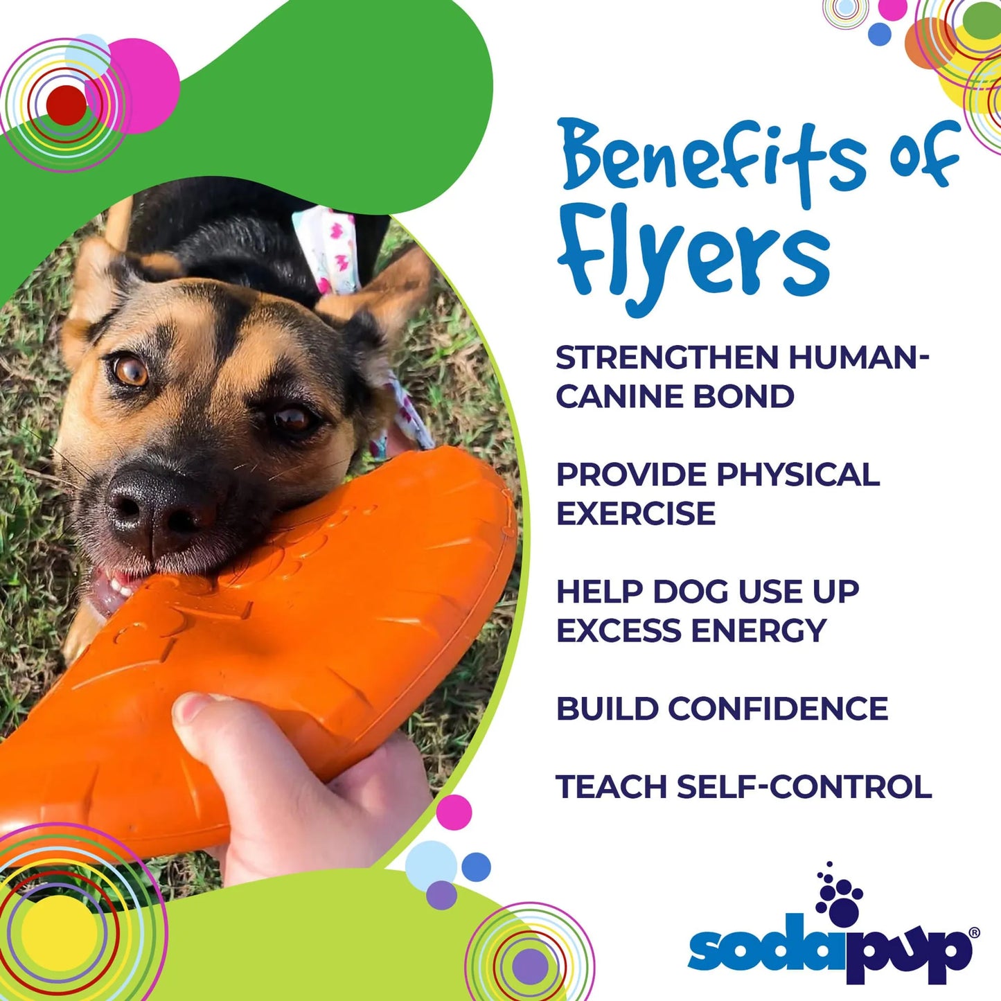Durable Rubber Dog Frisbee - Made in USA