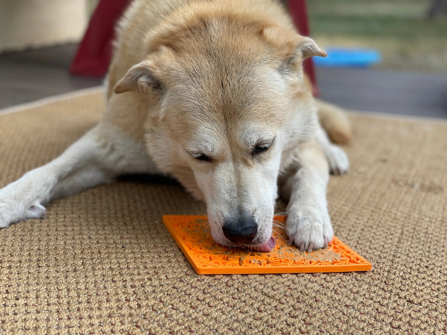 Lick Mat - Halloween Zombie - Emat Dog Enrichment