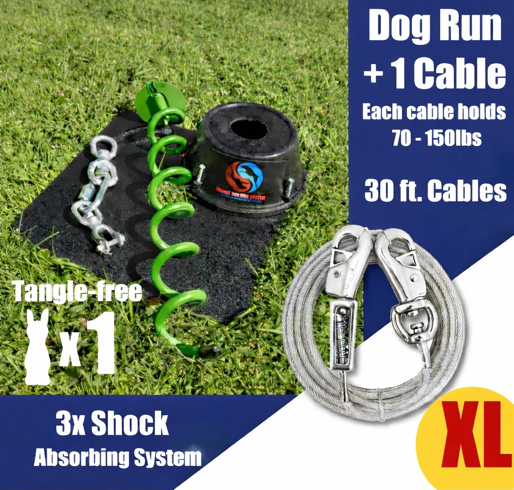 Heavy Duty Dog Tie Out Stake and Cable with Shock Spring for XL Dog - 70lbs to 150lbs