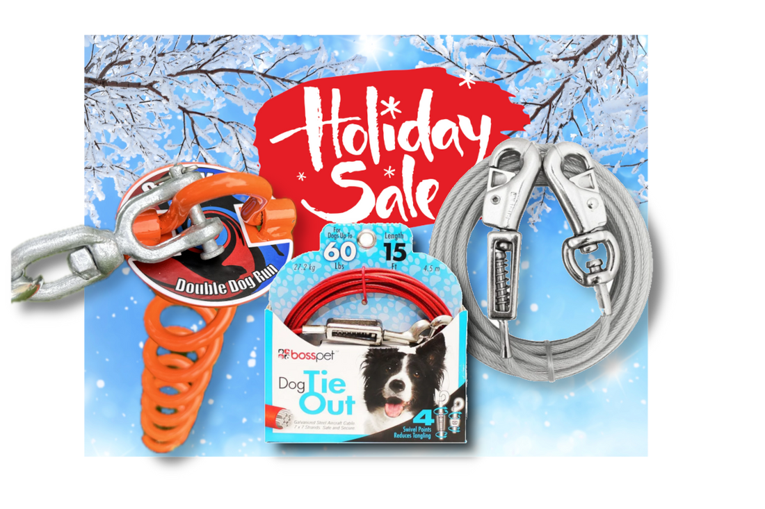 Holiday Sale 2025! Dog Tie-Out Stakes by Double Dog Run