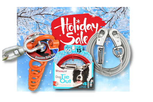 Holiday Sale 2025! Dog Tie-Out Stakes by Double Dog Run