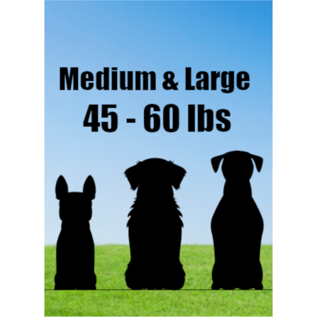 Dog Tie Out Stakes for Medium and Large Dogs