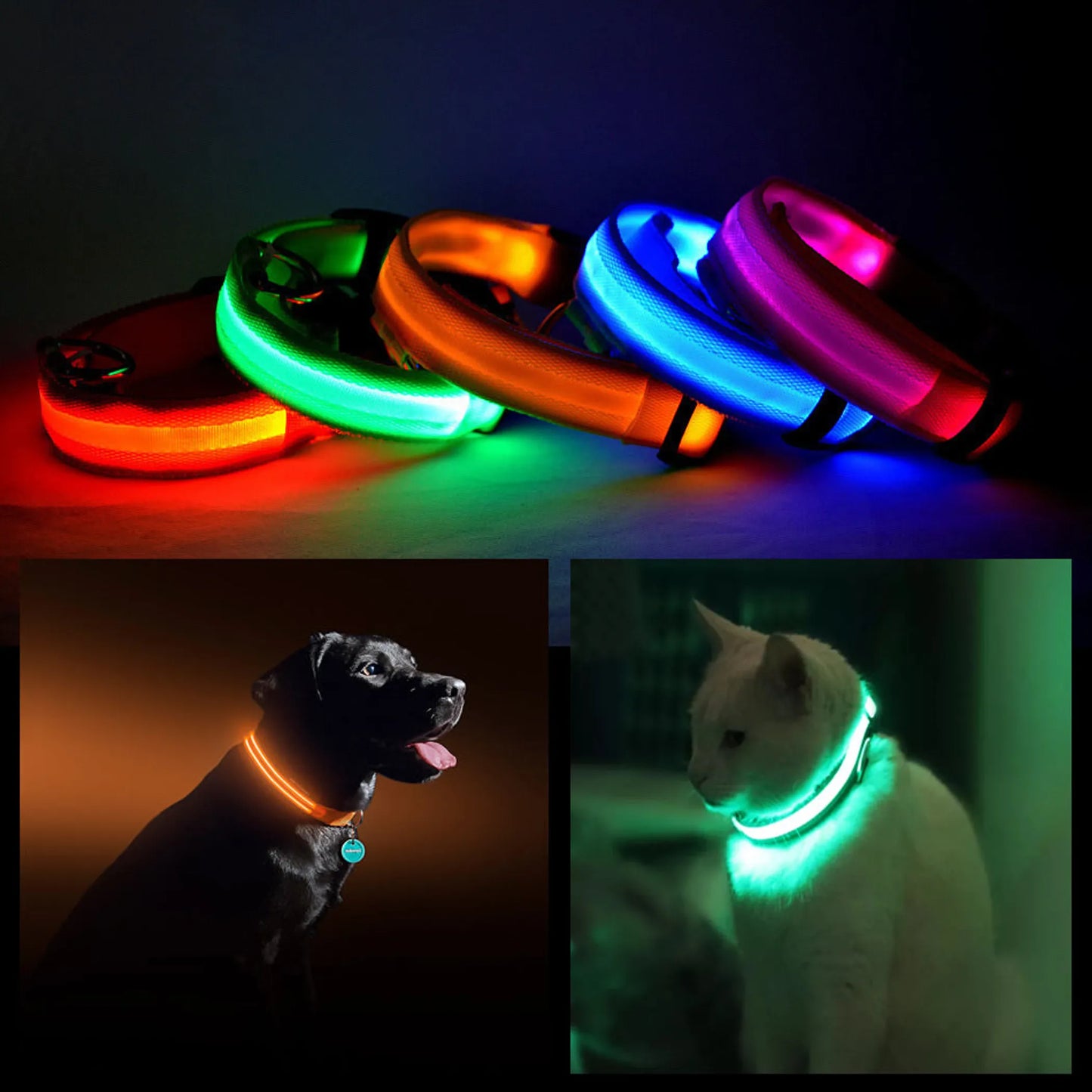 Glow Collar - LED PET Safety Collar - Red, Blue, Pink, Orange, Green