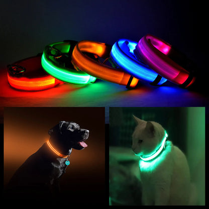 Glow Collar - LED PET Safety Collar - Red, Blue, Pink, Orange, Green