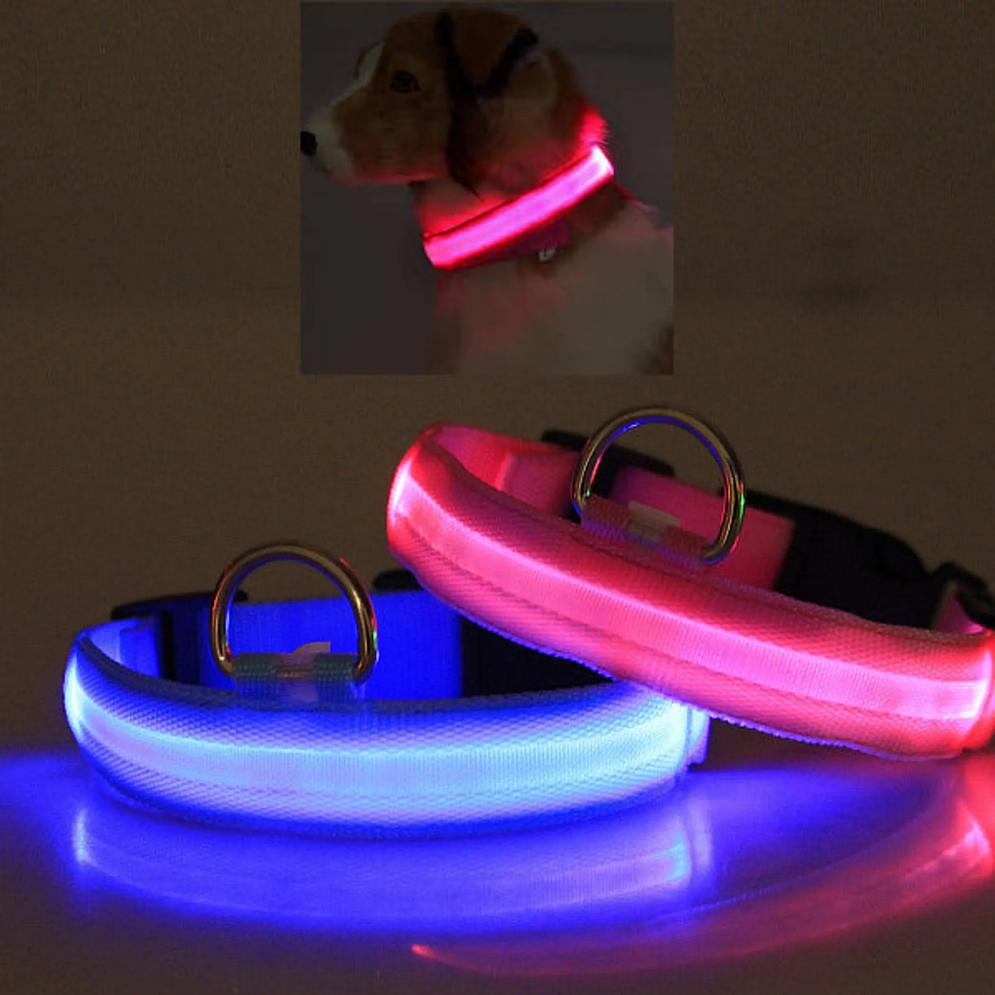 LED Dog Collar