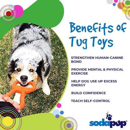 SP Pop Top Rubber Tug Toy for Interactive Play