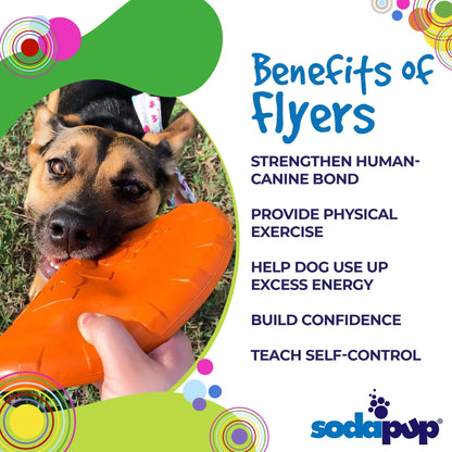 Durable Rubber Dog Frisbee - Made in USA
