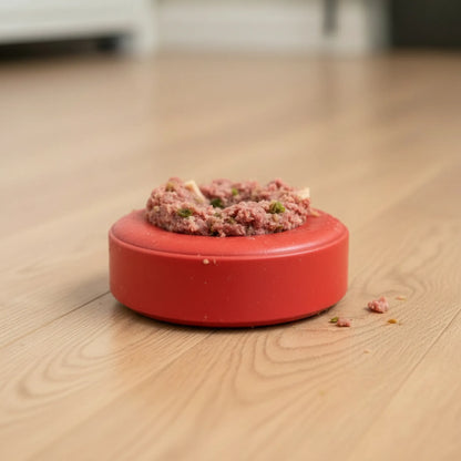 SP Life Ring Durable Rubber Chew Toy & Treat Dispenser