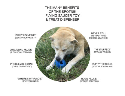 UFO Rubber Dog Chew Toy and Treat Dispenser