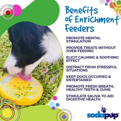Earth eCoin Nylon Lick Mat for Dogs  Enrichment Toy