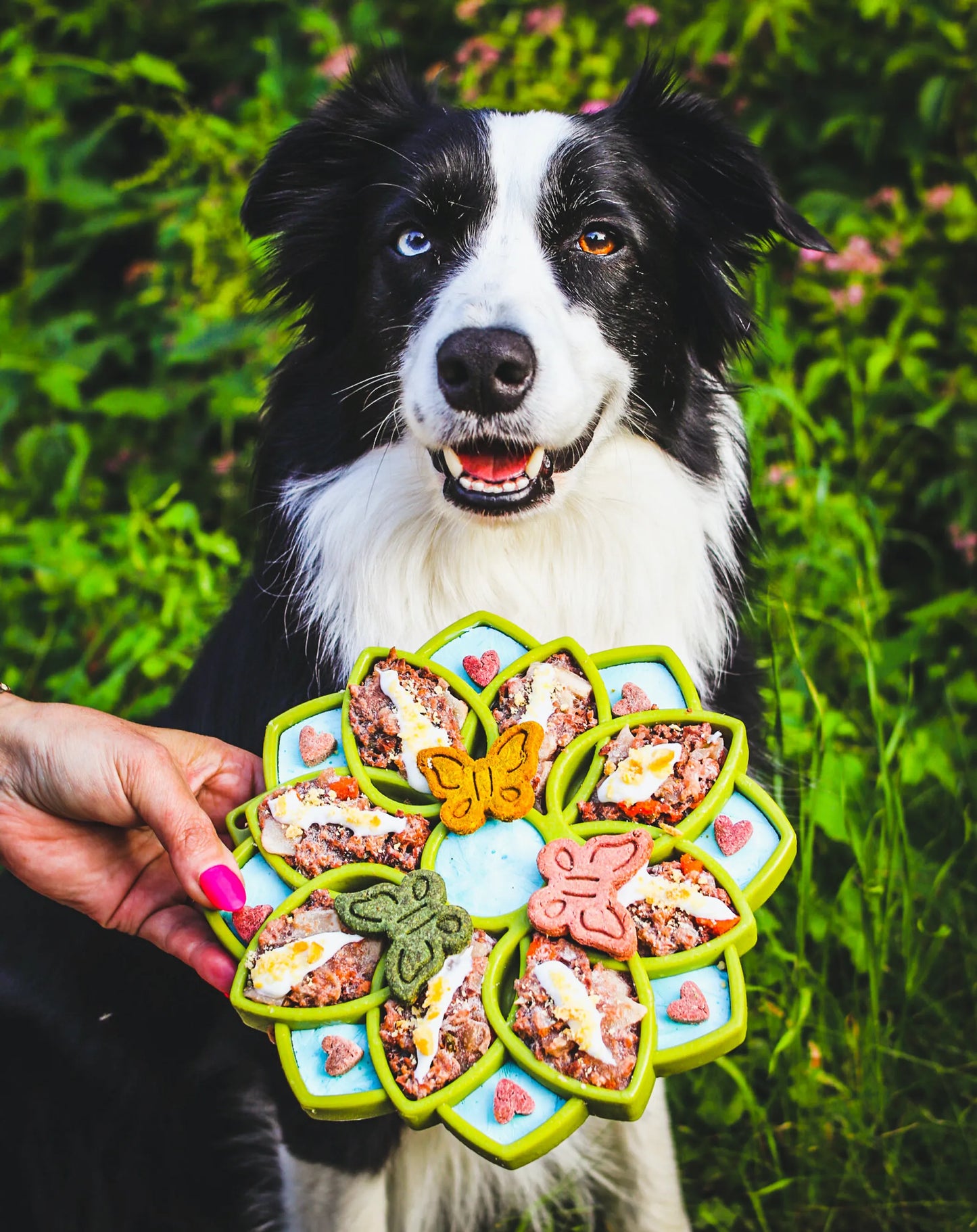 Slow Feed Dog Bowl - Mandala Design - eTray Enrichment Slow Feeding Tray for Dogs