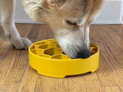 Honeycomb Slow Feed Dog Enrichment - 8" Slow Feeder Bowl for Dogs