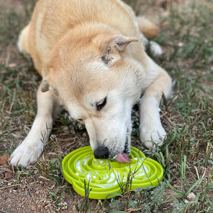 Slow Feeder Bowl - Tree Frog Design - eTray Enrichment Slow Feeding Tray for Dogs