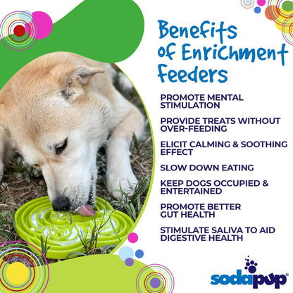 Water Frog eTray - Shallow Slow Feeder Dog Bowl for Enrichment