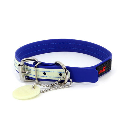 Glow Collar - Buckle Play Collar - Glow-in-the-dark Collar - 10 to 16 inch