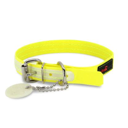 Glow Collar - Buckle Play Collar - Glow-in-the-dark Collar - 10 to 16 inch