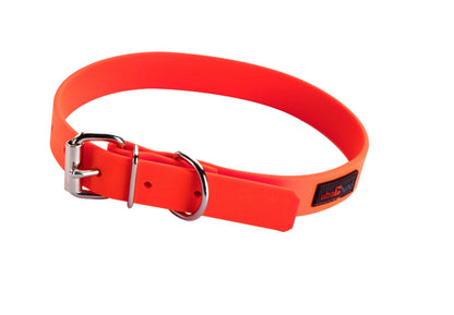 Play Collar - Buckle Collar - 10 to 24 inch - Assorted Colors