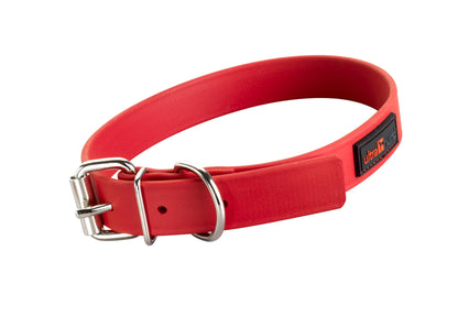 Play Collar - Buckle Collar - 10 to 24 inch - Assorted Colors