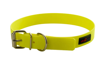 Play Collar - Buckle Collar - 10 to 24 inch - Assorted Colors