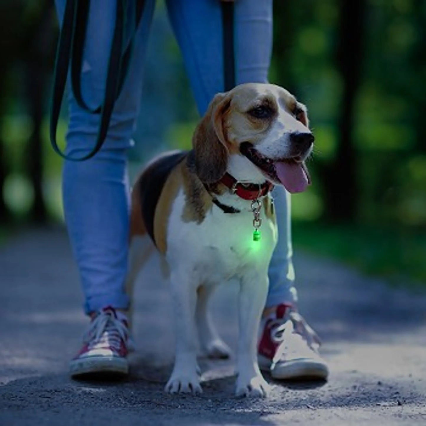 Pack of 4 Pet Blinkers Flashing LED Light for Pet Collar