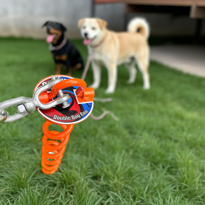 dog tie out stake for two dogs with dogs in the background